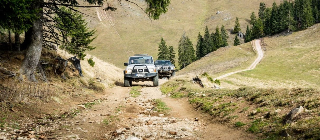 Top 10 cadouri experienta pentru pasionatii de natura