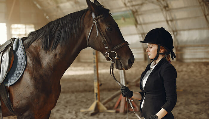 Tot ce trebuie sa stii despre echitatie