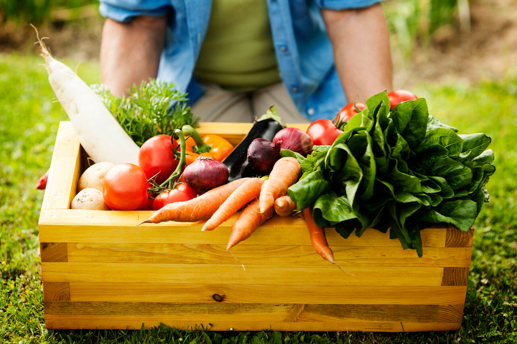 Ghid pentru o vara sanatoasa si fericita