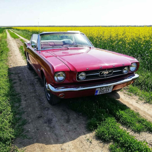 Plimbare cu o masina de epoca