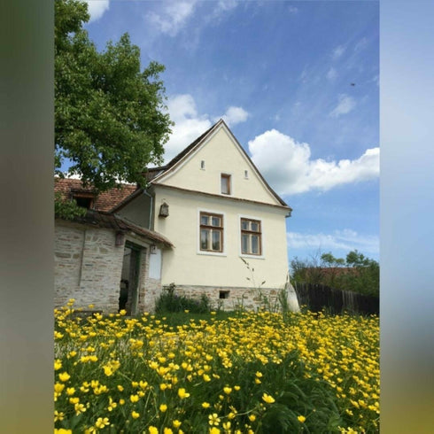 Escape in a Transylvanian village