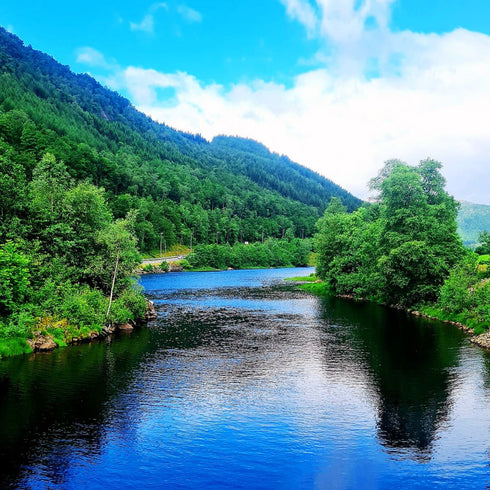 Cadou pescari "Meet and Greet the Fish"