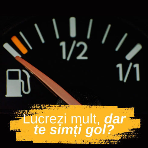 Consiliere profesionala