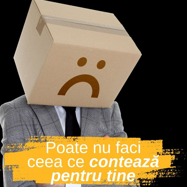 Consiliere profesionala