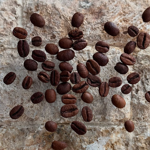 Coffee tasting and visit to a bakery in Brasov