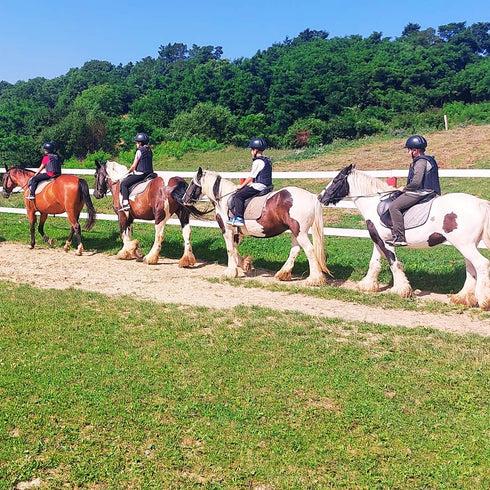 Plimbari calare - zona Bran