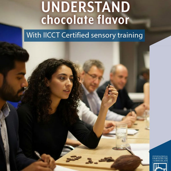 Atelier de ciocolata - Chocolate Tasting: combined Level 1 & Level 2