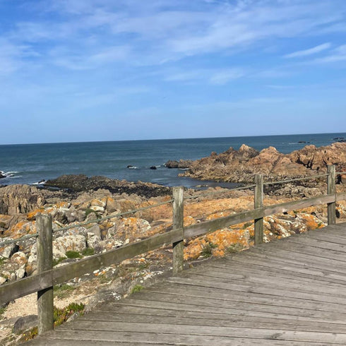 Camino pentru Femei – Coastal Edition