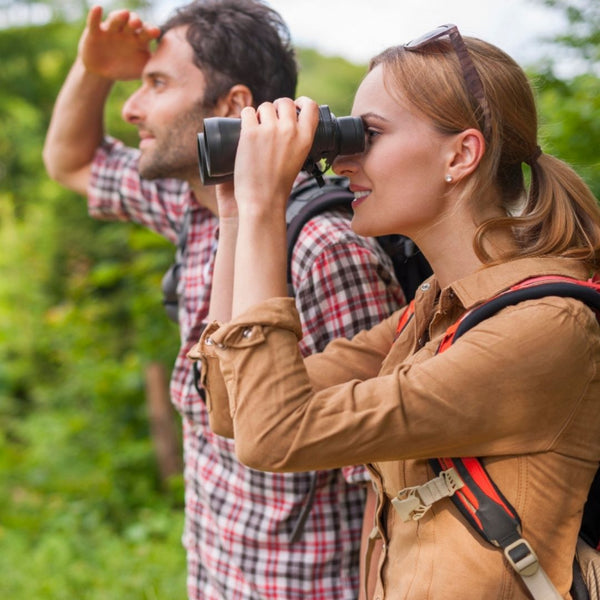 Bird watching din canoe in Delta Dunarii
