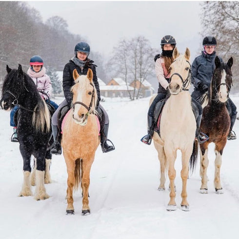 Horseback Ride at Popasul Craiului