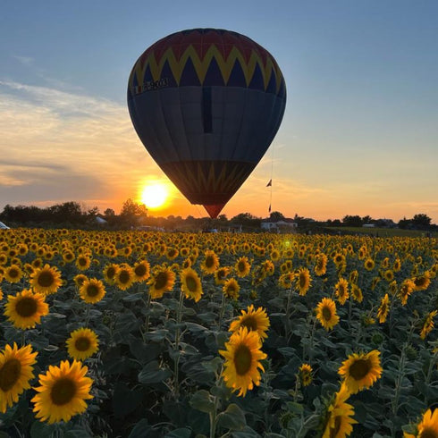 Zbor ancorat cu balonul in Bucuresti