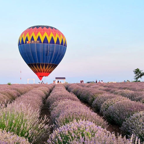 Zbor ancorat cu balonul in Bucuresti