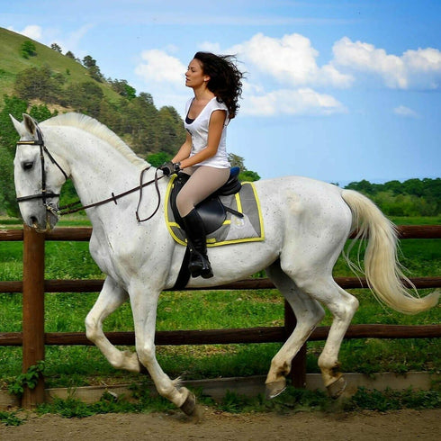 Horse riding in Brasov