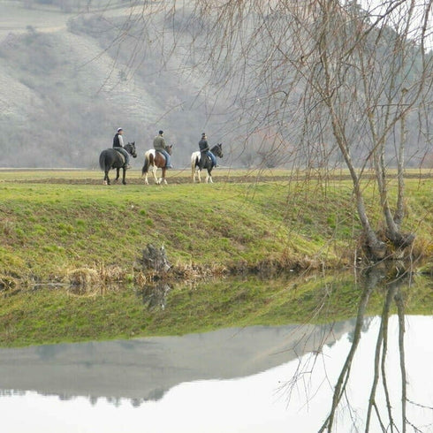 Horse riding in Brasov