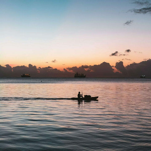 Raptor fishing school (spinning)