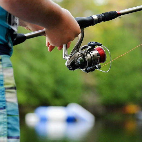 Raptor fishing school (spinning)