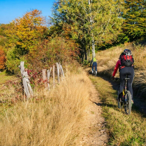 Mountain biking in the Apuseni Mountains
