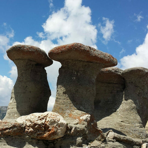 Zbor cu avionul de tip cost shared – Tur Muntii Bucegi