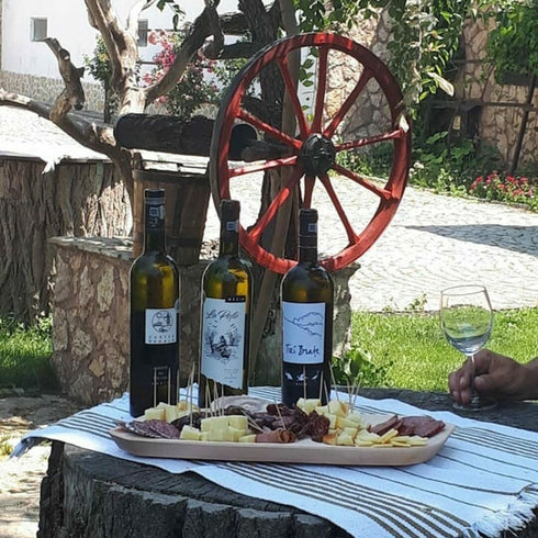 Degustare vin la Crama Macin, Podgoria Sarica Niculitel