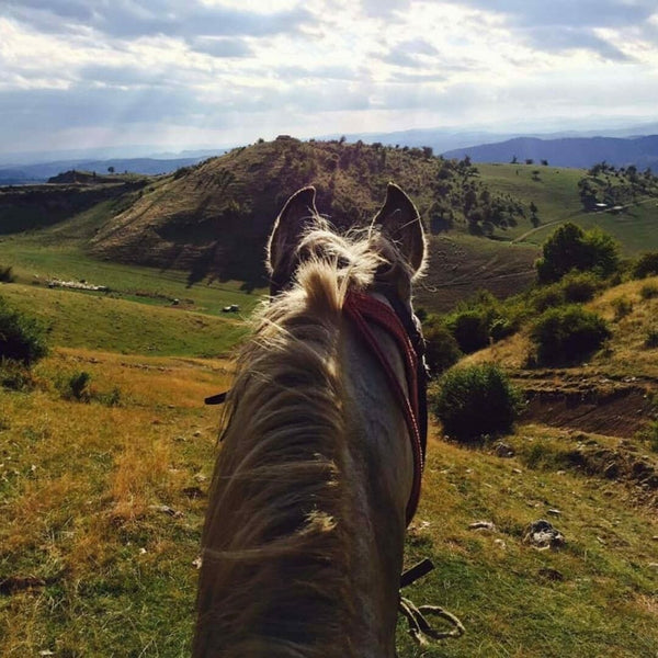 Riding trail with picnic in Muscel