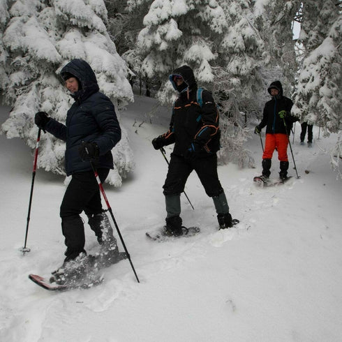 Hiking and snowshoe tour in the Eastern Carpathians