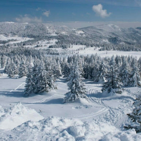 Escapada de weekend in Muntii Harghita