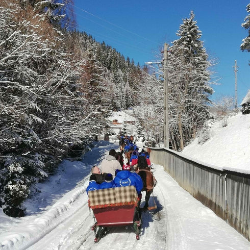 Horse-drawn wagon or sleigh rides in the Ghimesului area