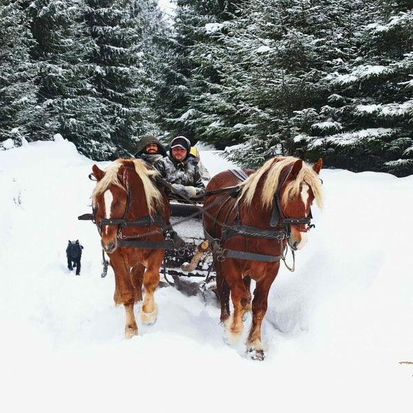 Horse-drawn wagon or sleigh rides in the Ghimesului area