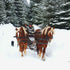 Horse-drawn wagon or sleigh rides in the Ghimesului area