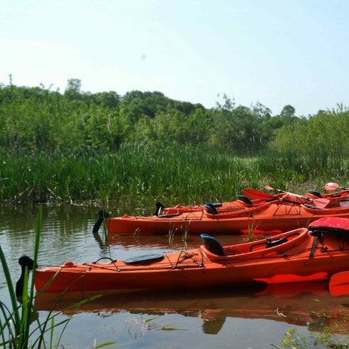 Kayaking in the Neajlov Delta