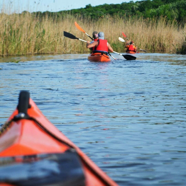 Kayaking in the Neajlov Delta