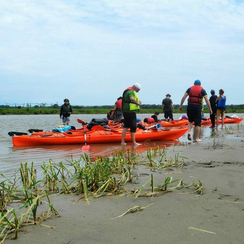 Delta Dunarii vazuta din canoe si caiace