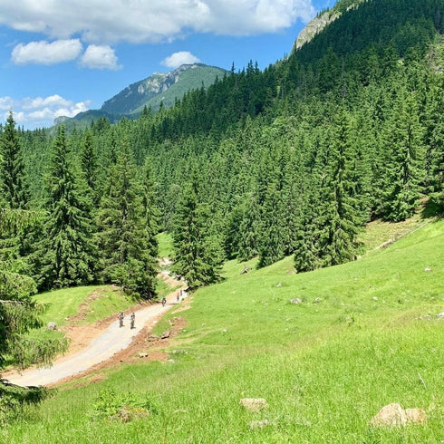 Ture cu biciclete electrice in Carpatii Orientali