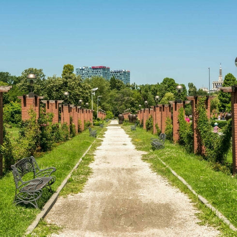 Treasure hunt in Herastrau