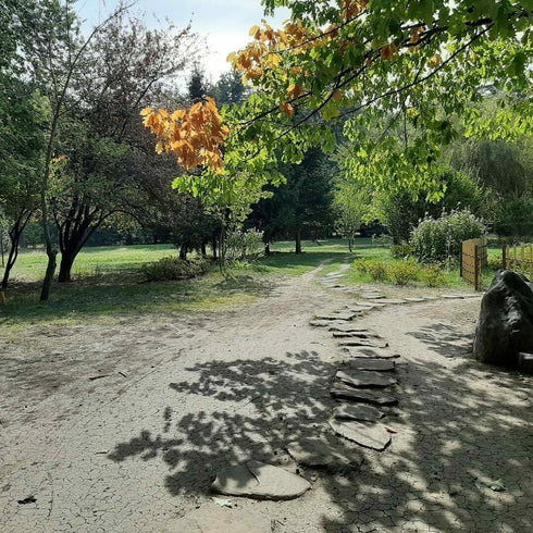 Treasure hunt in Herastrau