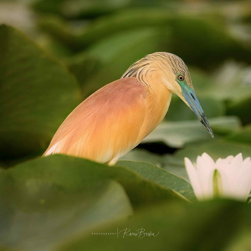 Photography course for beginners in Bucharest