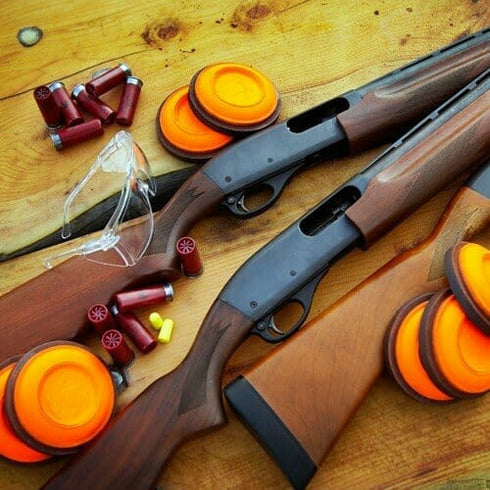 Shooting sport at the table. Trot or Skeet