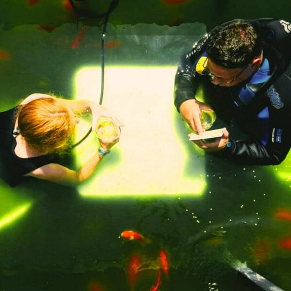 Underwater brewery - let's have a beer at depth!