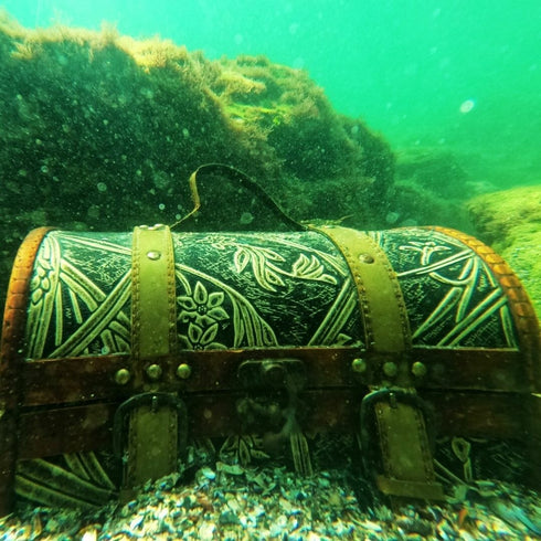 Cerere in casatorie subacvatica