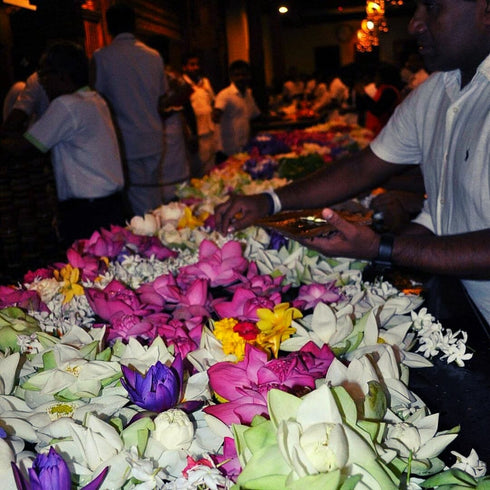 Creatie parfum - Parfums Perdu