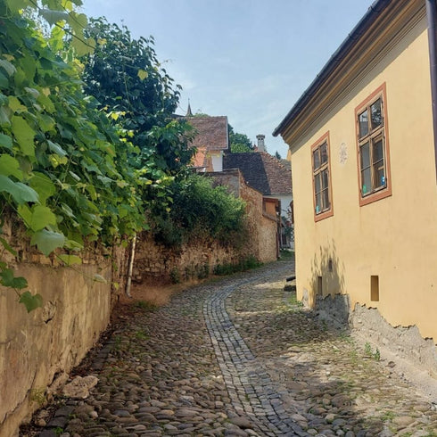 Treasure hunt in Sighisoara