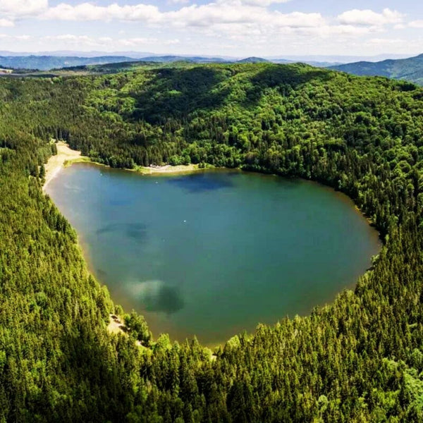 Shared cost plane flight - Tour over Lake Sfanta Ana