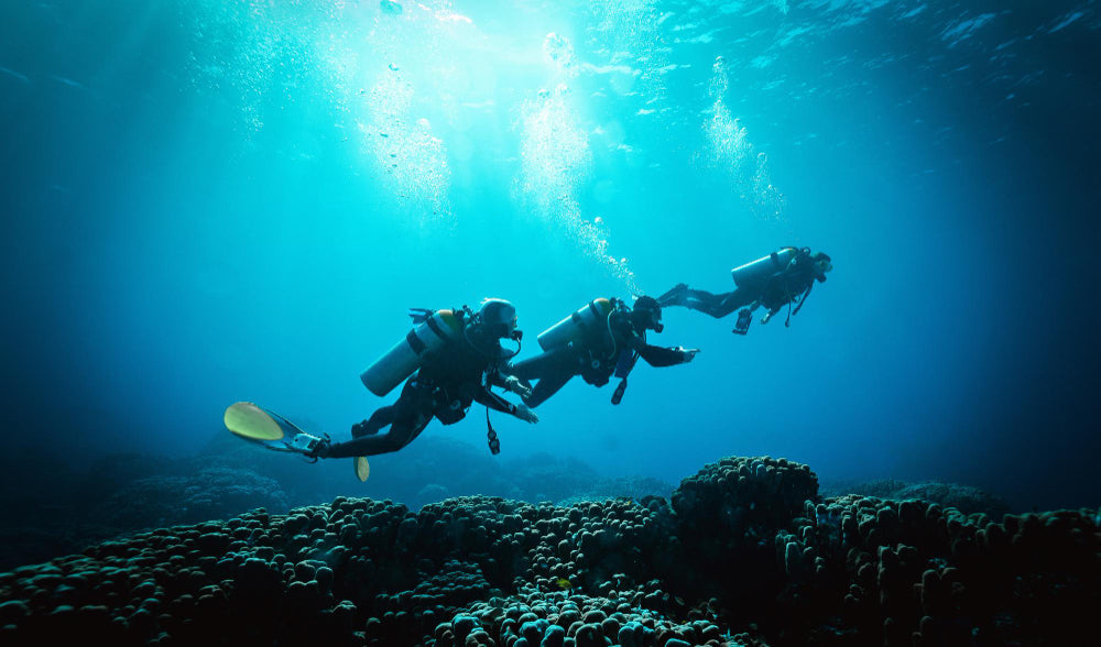Scuba diving: ghid complet pentru începători în România
