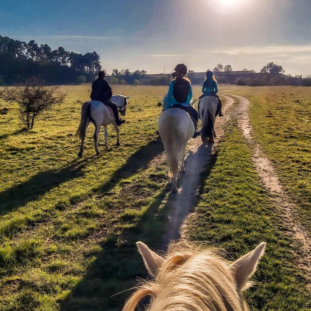3-Day Horseback Riding Near Brasov - Rural Package