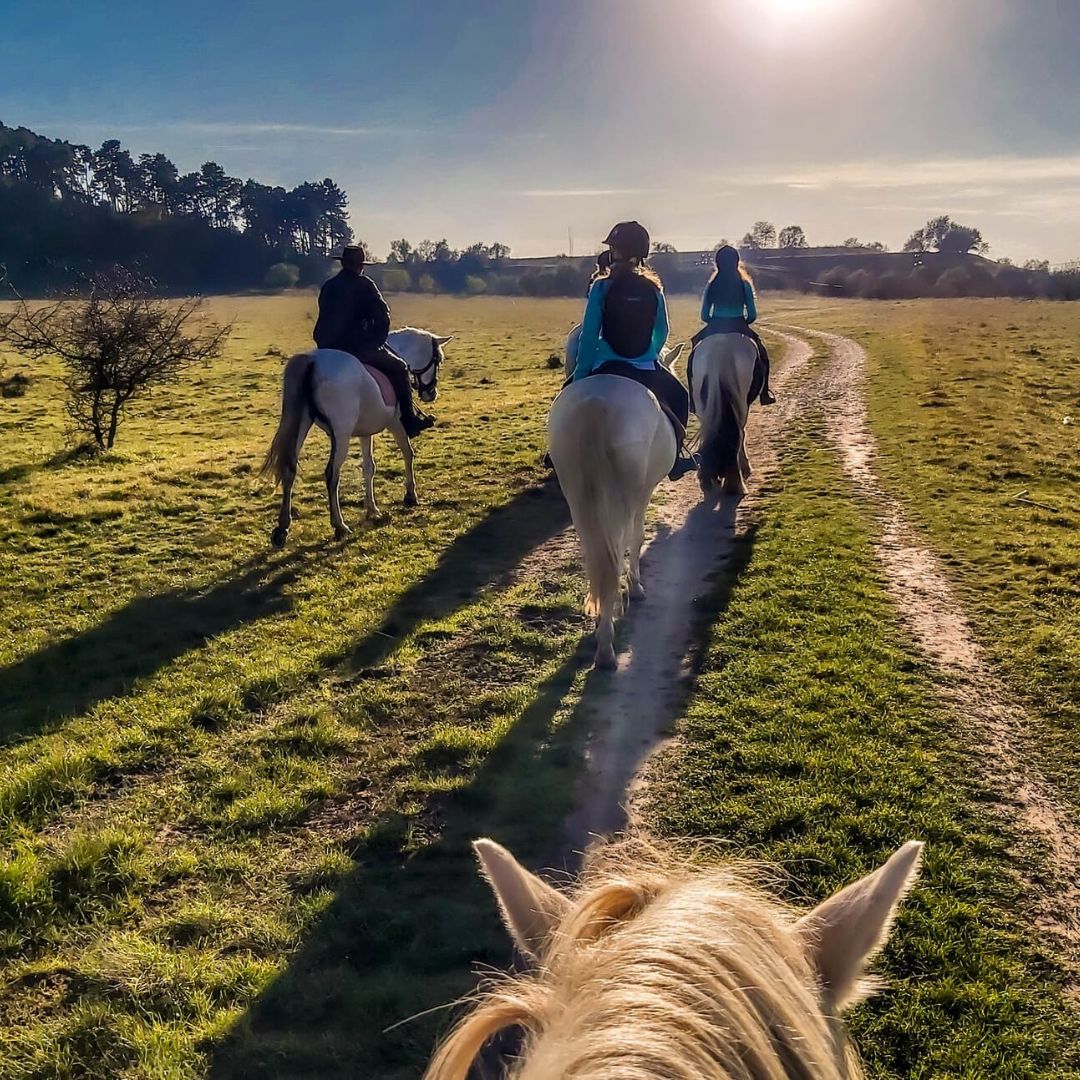 3-Day Horseback Riding Near Brasov - Rural Package