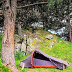 Cadou pescari "Meet and Greet the Fish" - 2 zile Fagaras