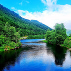 Cadou pescari "Meet and Greet the Fish" - 2 zile Fagaras