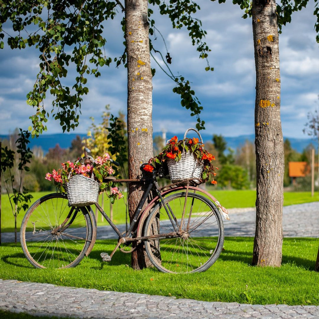 Romantic Mini Retreat - 3 Nights of Couple's Relaxation
