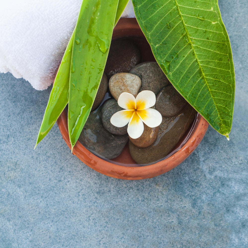 Thai Massage Brasov - Authentic Relaxation Experience