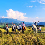 Horseback Riding Near Bran - Nature Riding Experience